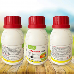 AMAPLUS 6.5EC AMAPLUS 6.5EC