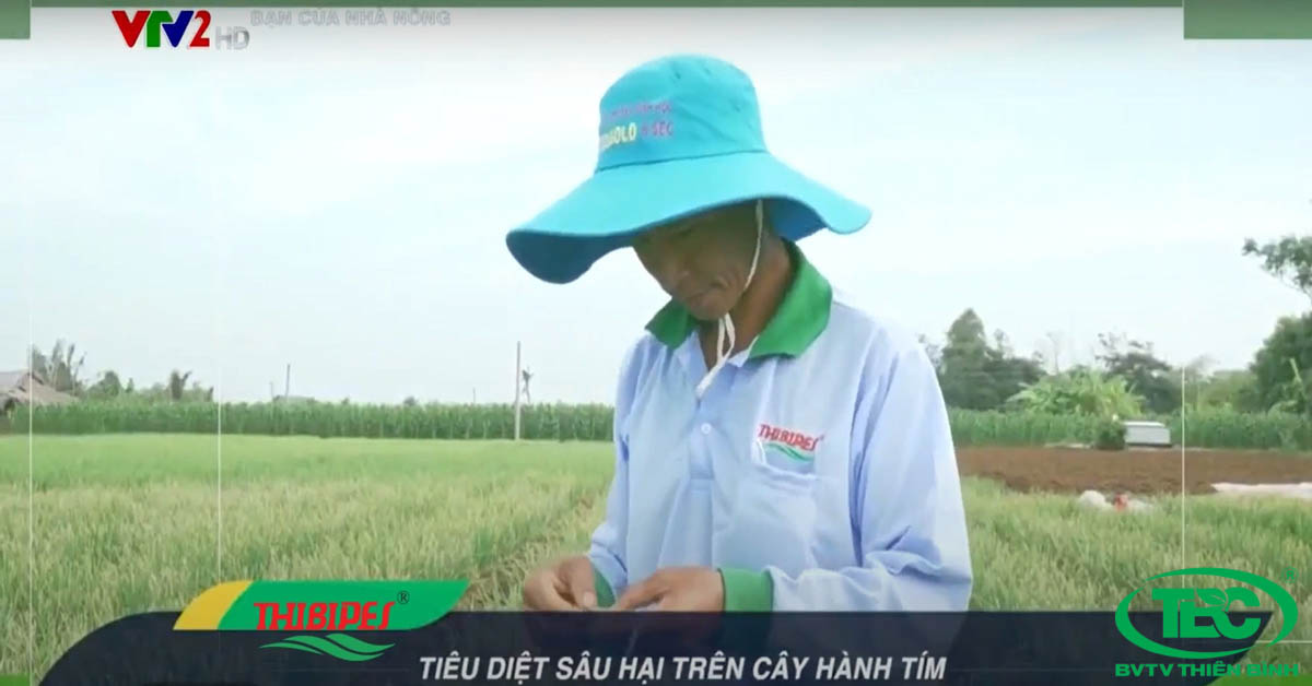 Phòng ngừa và kiểm soát sâu bệnh