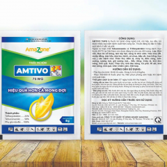 THUỐC TRỪ BỆNH - AMTIVO 75WG
