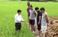 Phun thuốc bảo vệ thực vật đúng cách, an toàn