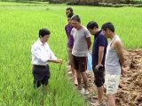 Phun thuốc bảo vệ thực vật đúng cách, an toàn